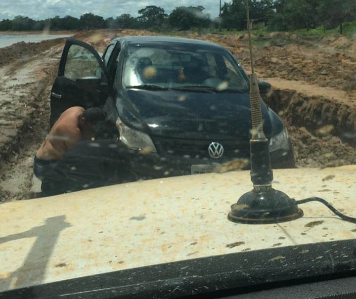 Uma imagem contendo ao ar livre, carro, gato, grama

Descrição gerada automaticamente